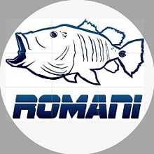 romani