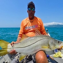 lambari-guia-pesca-robalos