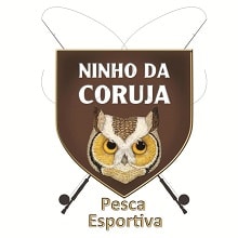 ninho-coruja