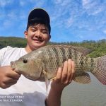 pescador mostrando pra foto uma tilápia