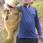 pescador mostrando um tucunaré