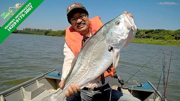 pesqueiro-wm-pesca