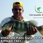 guia-pesca-ilha-solteira