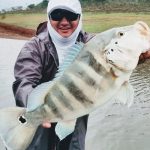 pescador mostrando um tucunaré azul