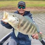 pescador segurando um grande tucunaré azul