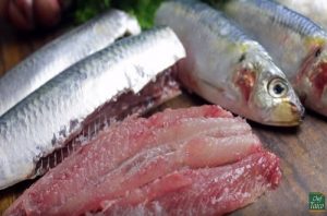 como-limpar-filetar-sardinha