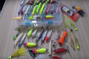 dica-equipamento-pesca-traira