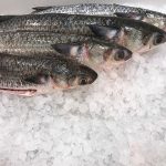 pescados-keli-mozer