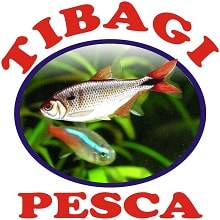 tibagi-pesca