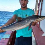 barracuda-pescaria