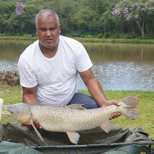 carpa-capim