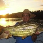 piapara-pesca-rio-barco