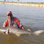 goias-guia-pesca