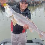 saul guia de pesca com uma grande pescada