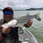 saul guia de pesca mostrando um bonito robalo flecha