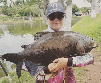 vanpesca