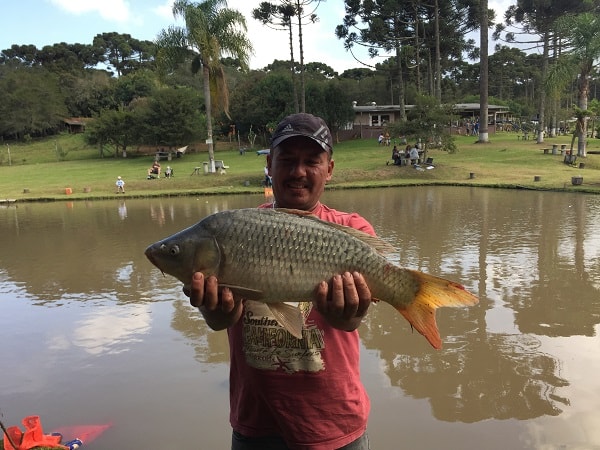 carpa-pesque-pague