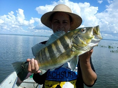 angela-barreto-siqueira