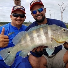 marreco-pescador