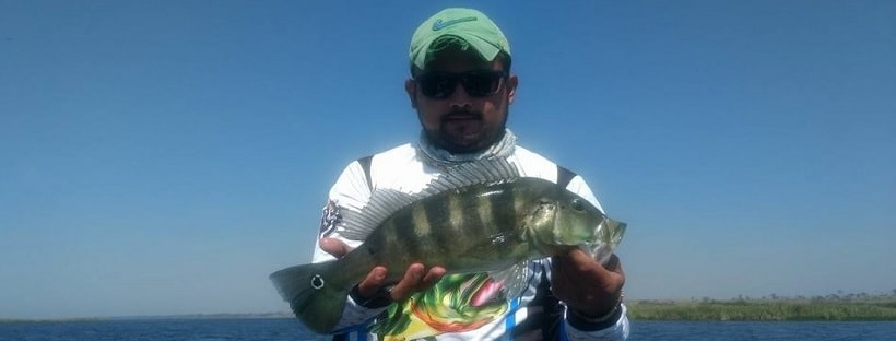 rodolfo-pichulim