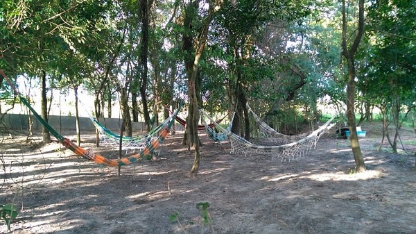 pesque-pague-recanto-verde