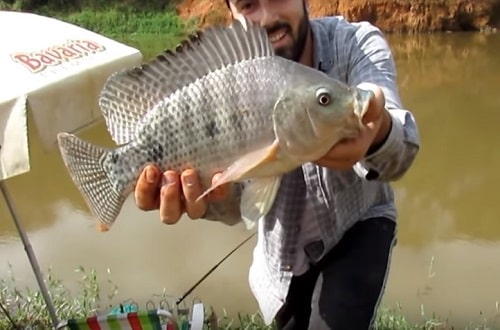 bons-peixes-beira-rio