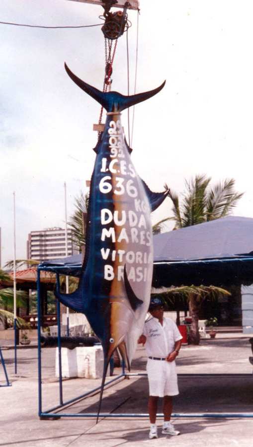 maior-marlim-azul-mundo