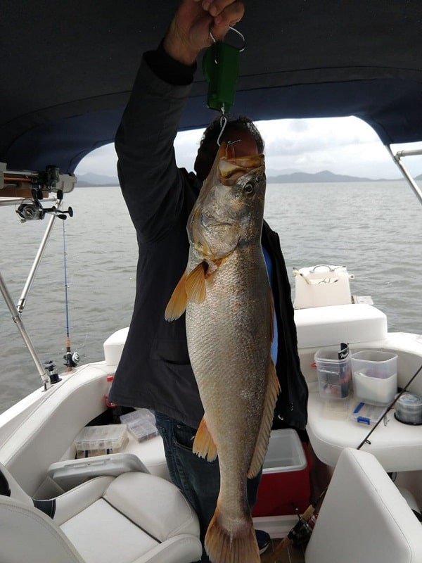 pescada-calafate