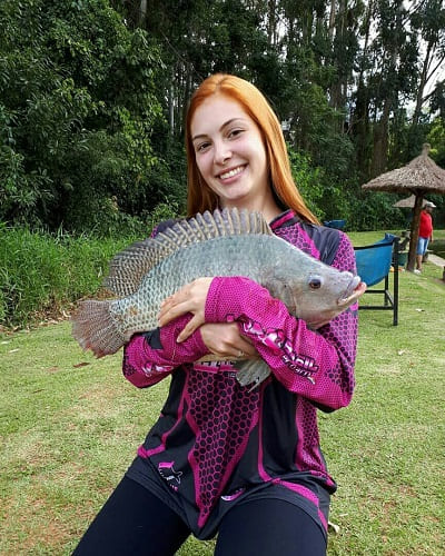 tilapia