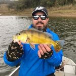 polaco-pesca-esportiva