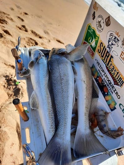 pesca-de-praia