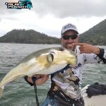 guia de pesca alan possato segurando um baiacu arara