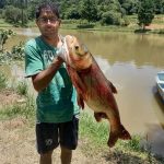 pescador segurando carpa cabeçuda