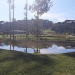 lago de pesca do pesque e pague pinheiro seco