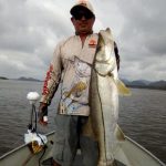 guia de pesca chamado estrangeiro segurando um grande robalo flecha
