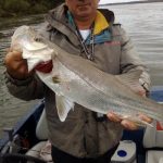 guia de pesca chamado estrangeiro segurando um grande robalo peva