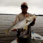 pescador segurando um grande robalo peva