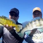 dois pescadores segurando exemplares de tucunarés