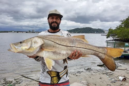 guia de pesca rapha segurando um grande exemplar de robalo flecha