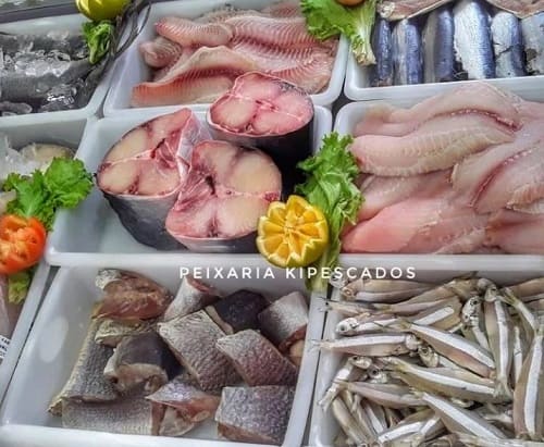 foto de vários frutos do mar da peixaria kipescados